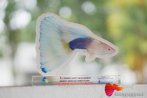 guppy-award-1