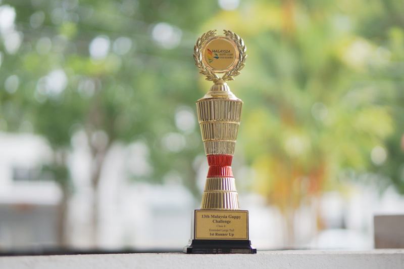 guppy-award-2